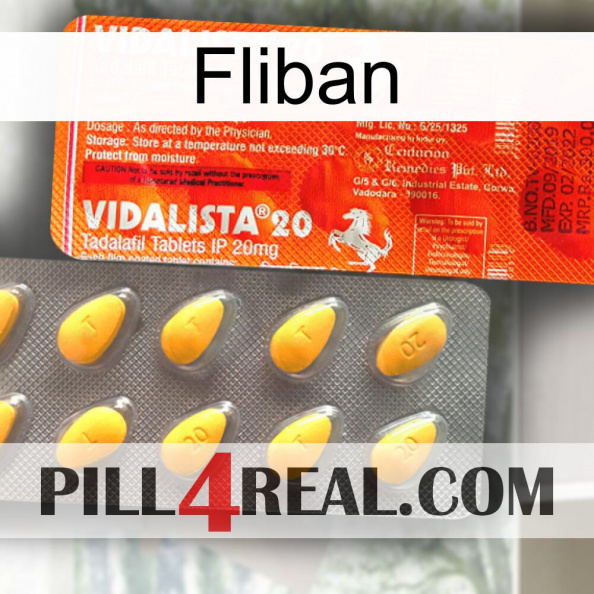 Fliban new01.jpg